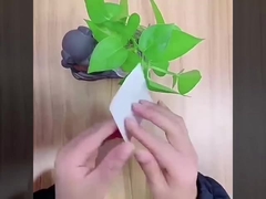 การตกแต่งฟิล์มยืดหยุ่นกึ่งโปร่งใส